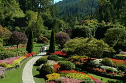 Butchart Gardens