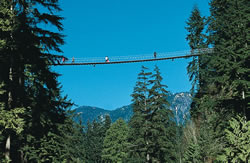 capilano suspension bridge