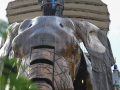 Social (12)